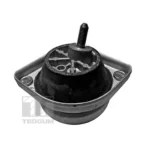 Опора двигуна TEDGUM (00089795)